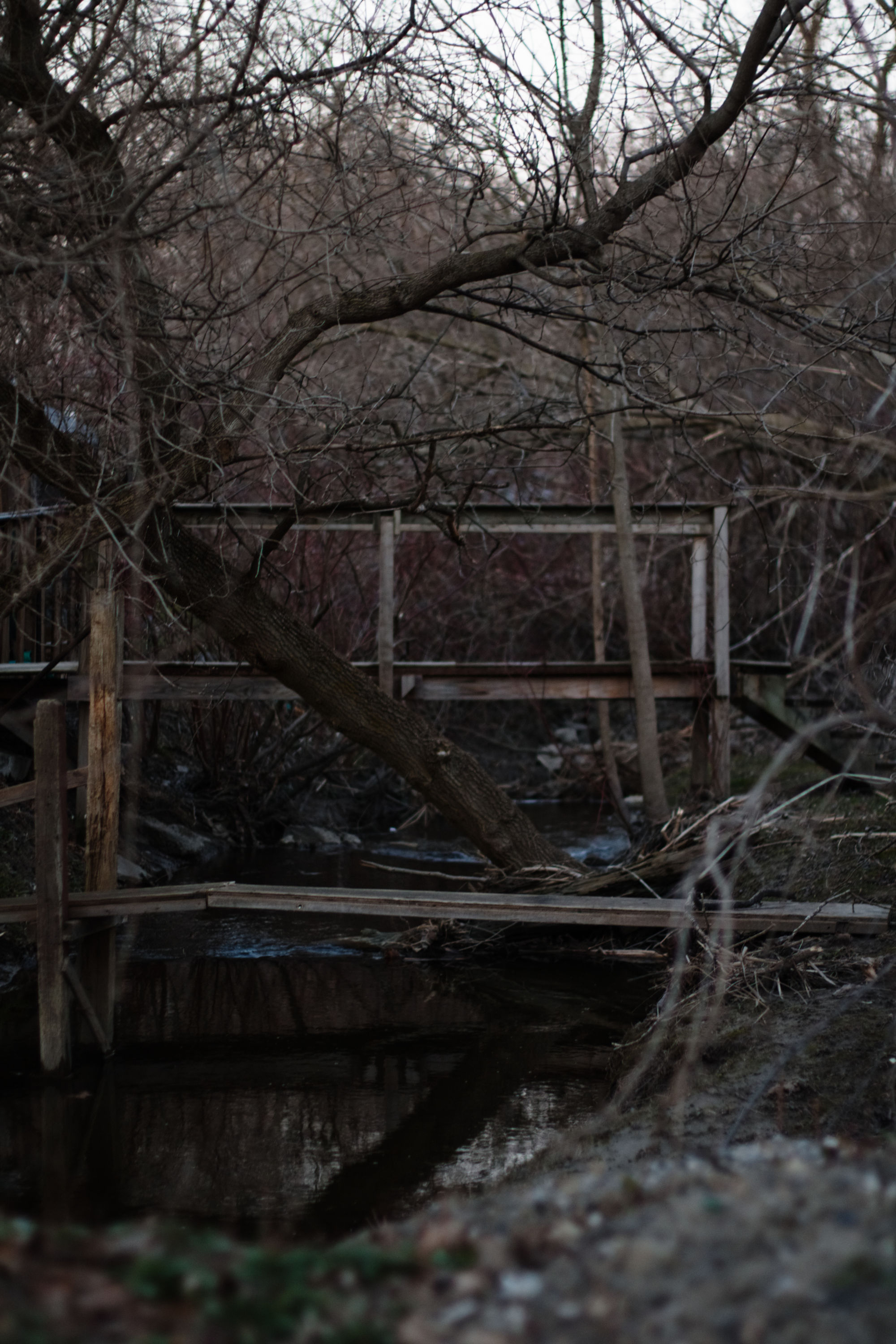 photograph of forested area following a river in overcast lighting. the trees don't have foliage, and there are several small wooden structures going over the water.