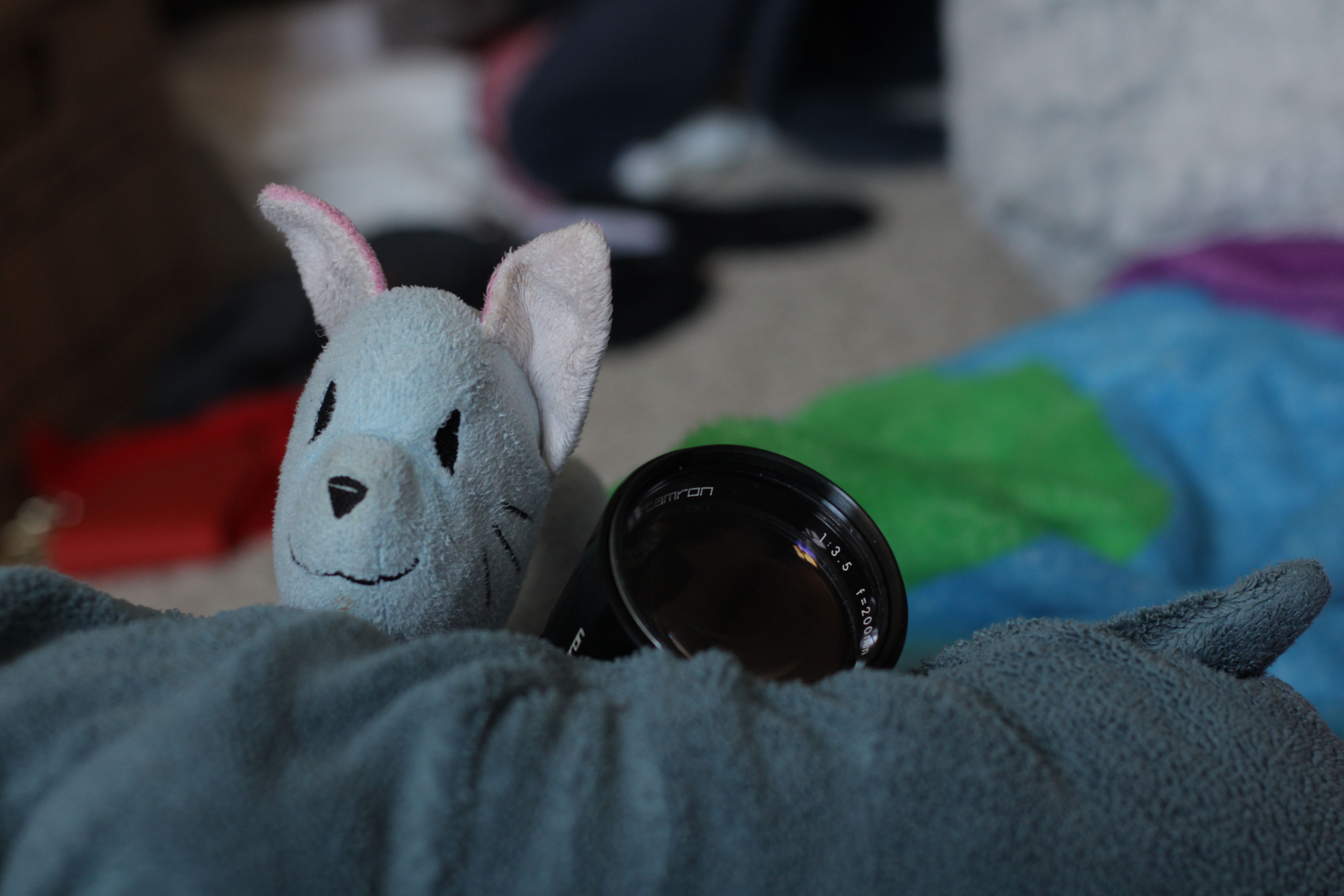 close up photograph of a cat or dog looking plushie next to a telephoto lens. the background is noticably blurry, and the image has a perky mood.