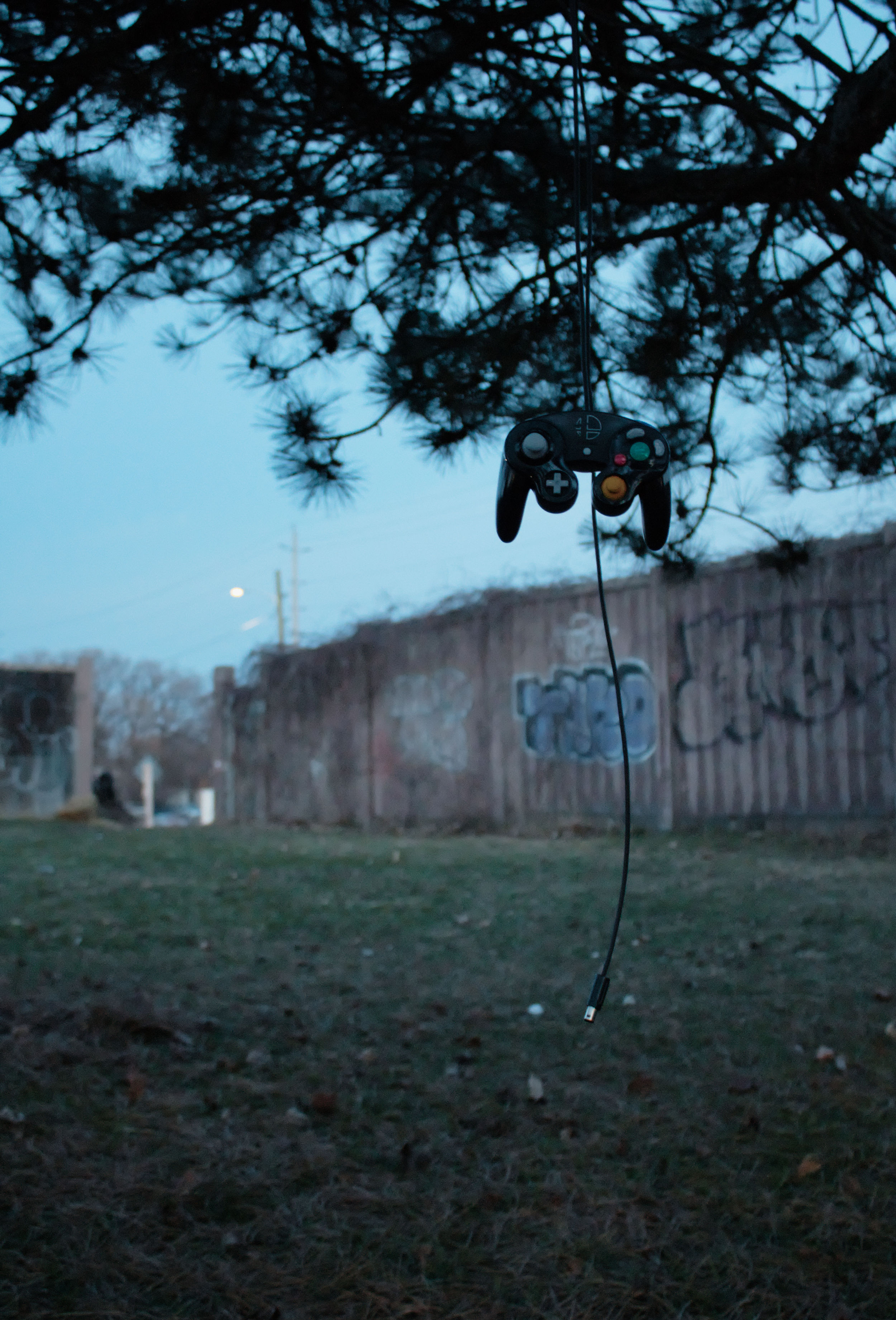 photograph of a wired video game controller with a unconventional button layout hanging from a tree branch with needles in a court yard.
