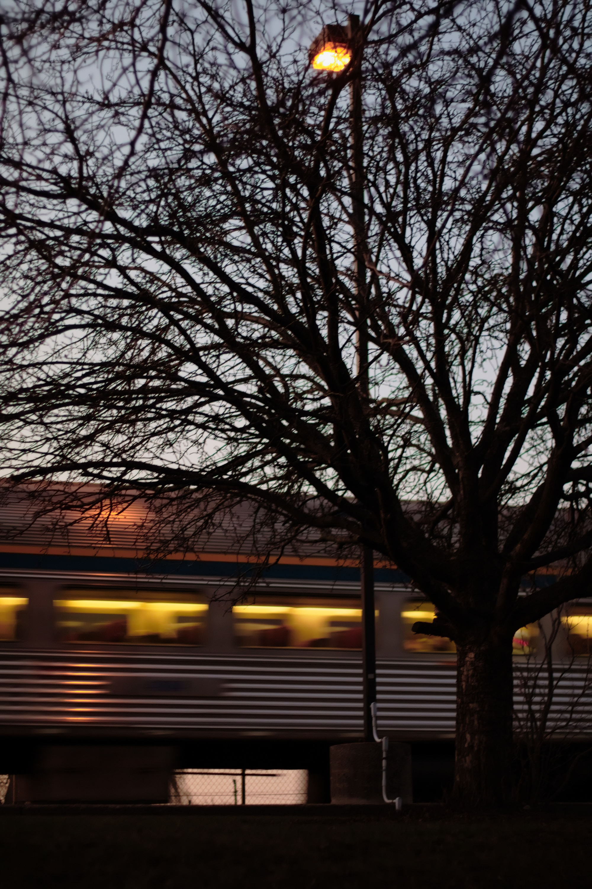 vertical photograph with a train in car in motion blur at sinset, with a amber lamp reflecting off the train car's metal body, under a leafless tree.