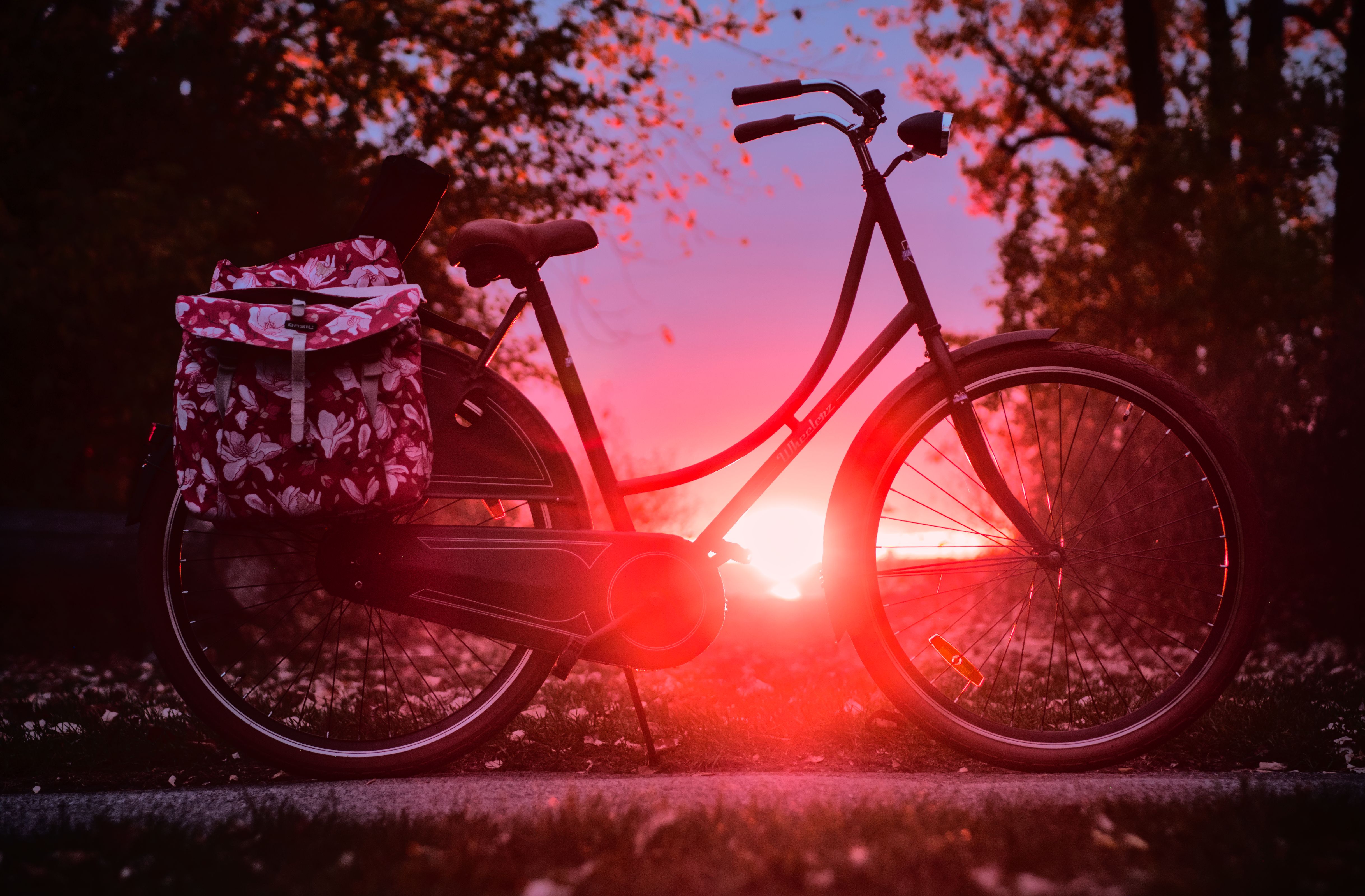 sunset coming through a bicycle.