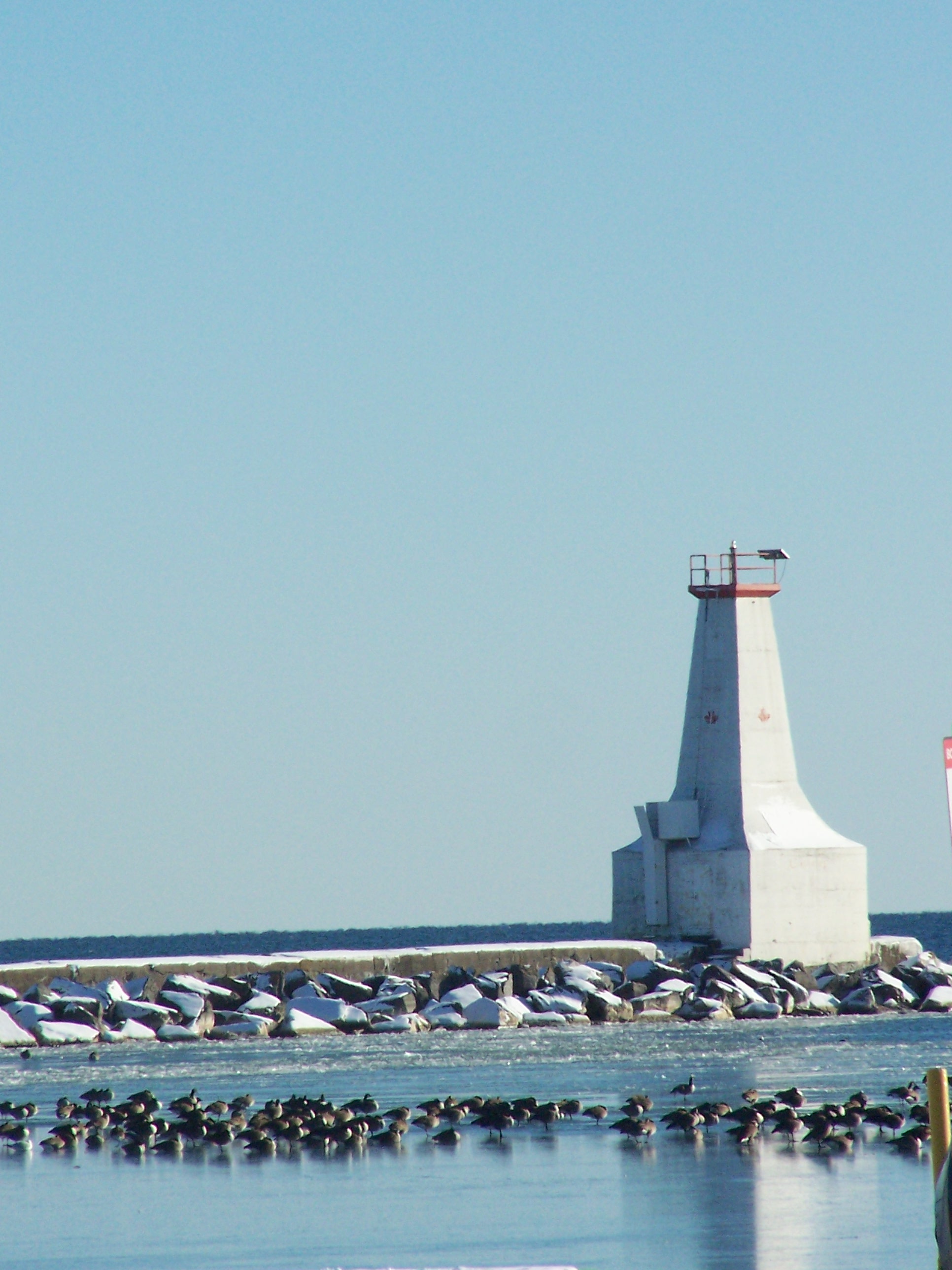 blue and white image of a lighthouse on the water. birdies on it too.