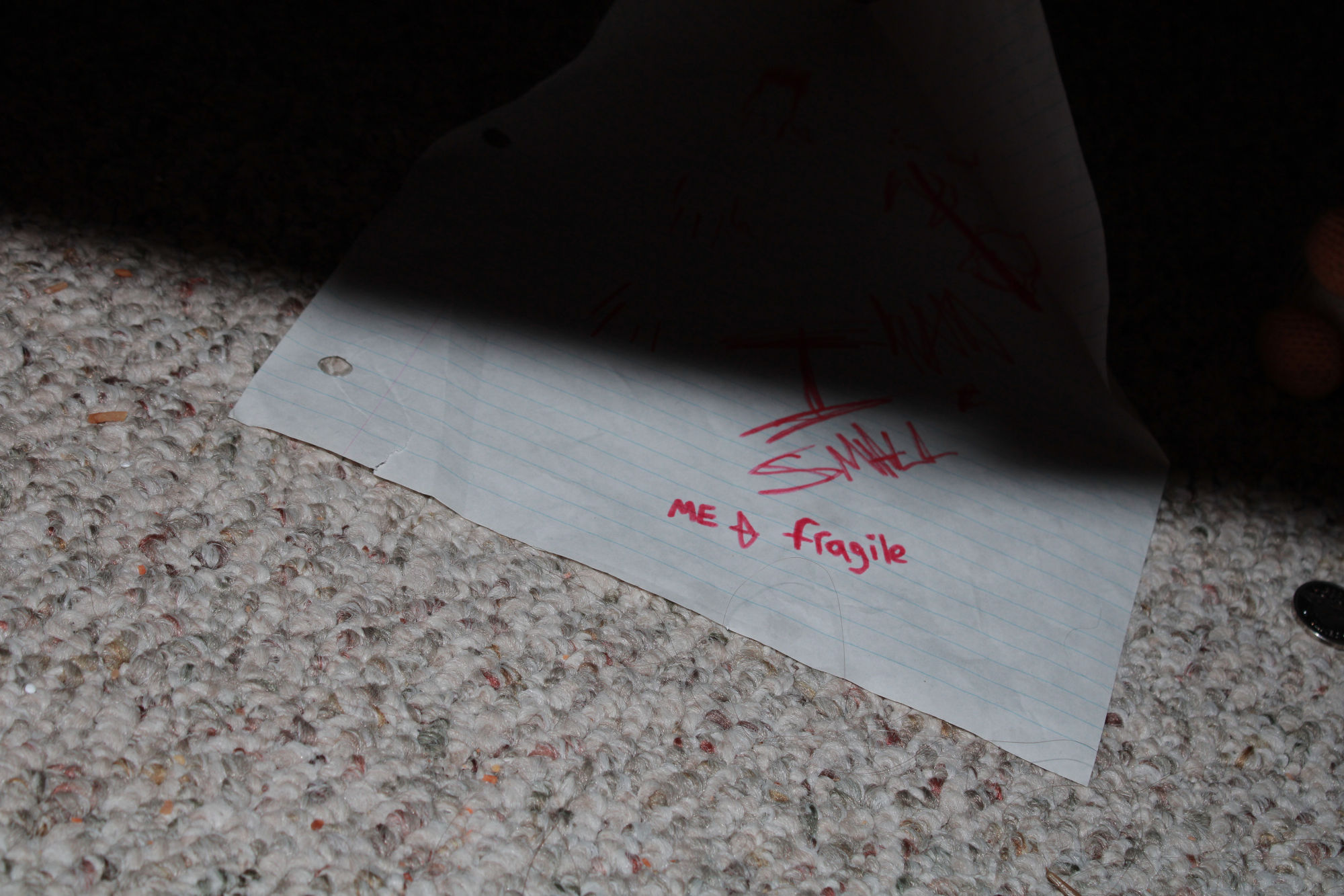 dramatically lit photograph that has harsh lighting on the bottom half and no lighting on the top half. it divides a piece of paper, with the lit half saying me, with an arrow from me pointing to the word fragile.