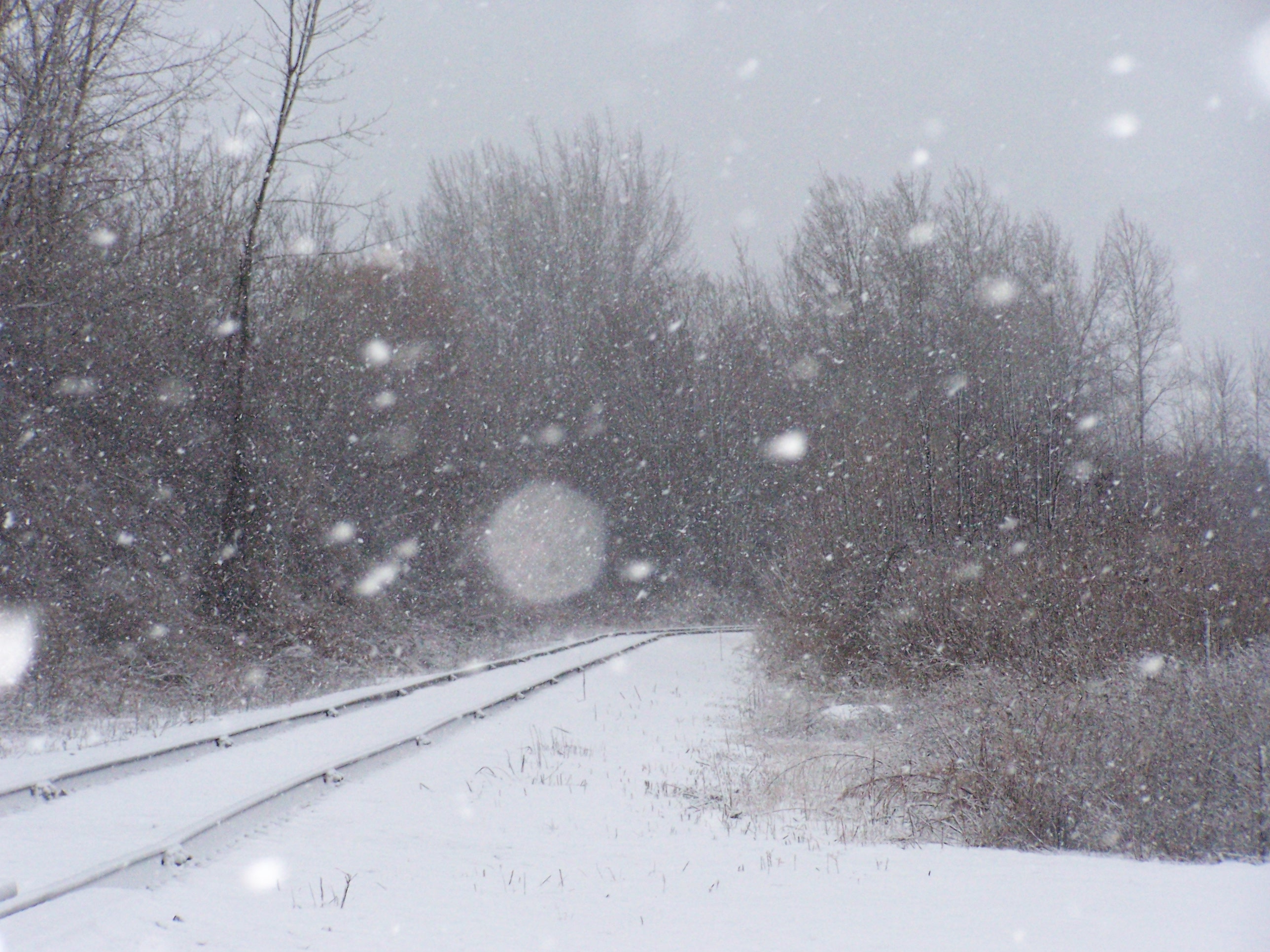 train tracks engulfed in bright snow and lined with leafless trees.