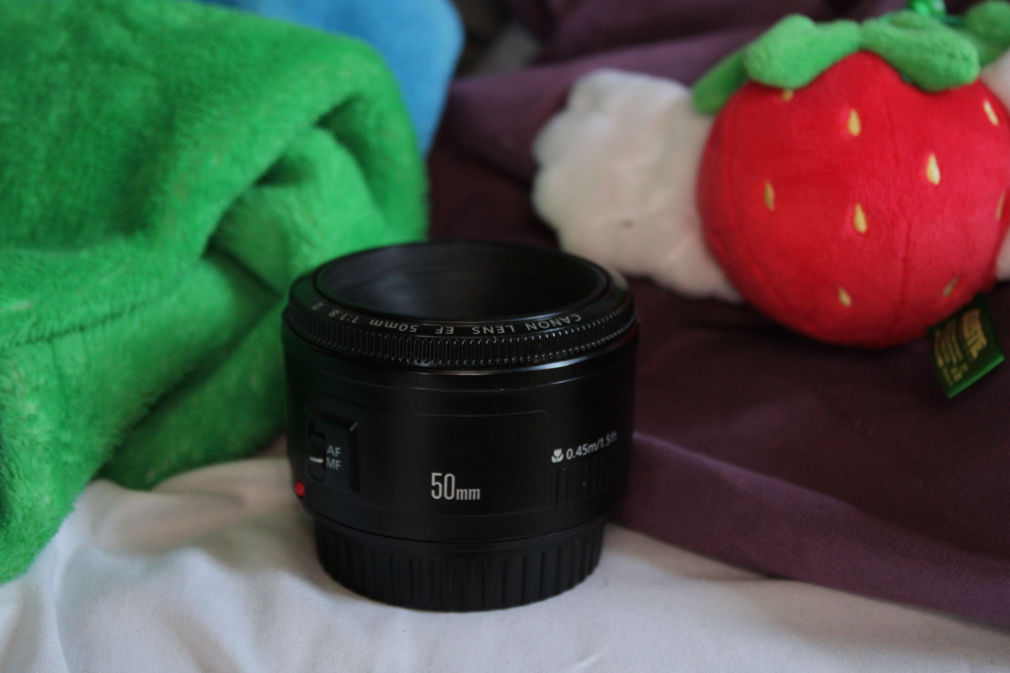 photograph of a small 50mm prime lens sitting up.