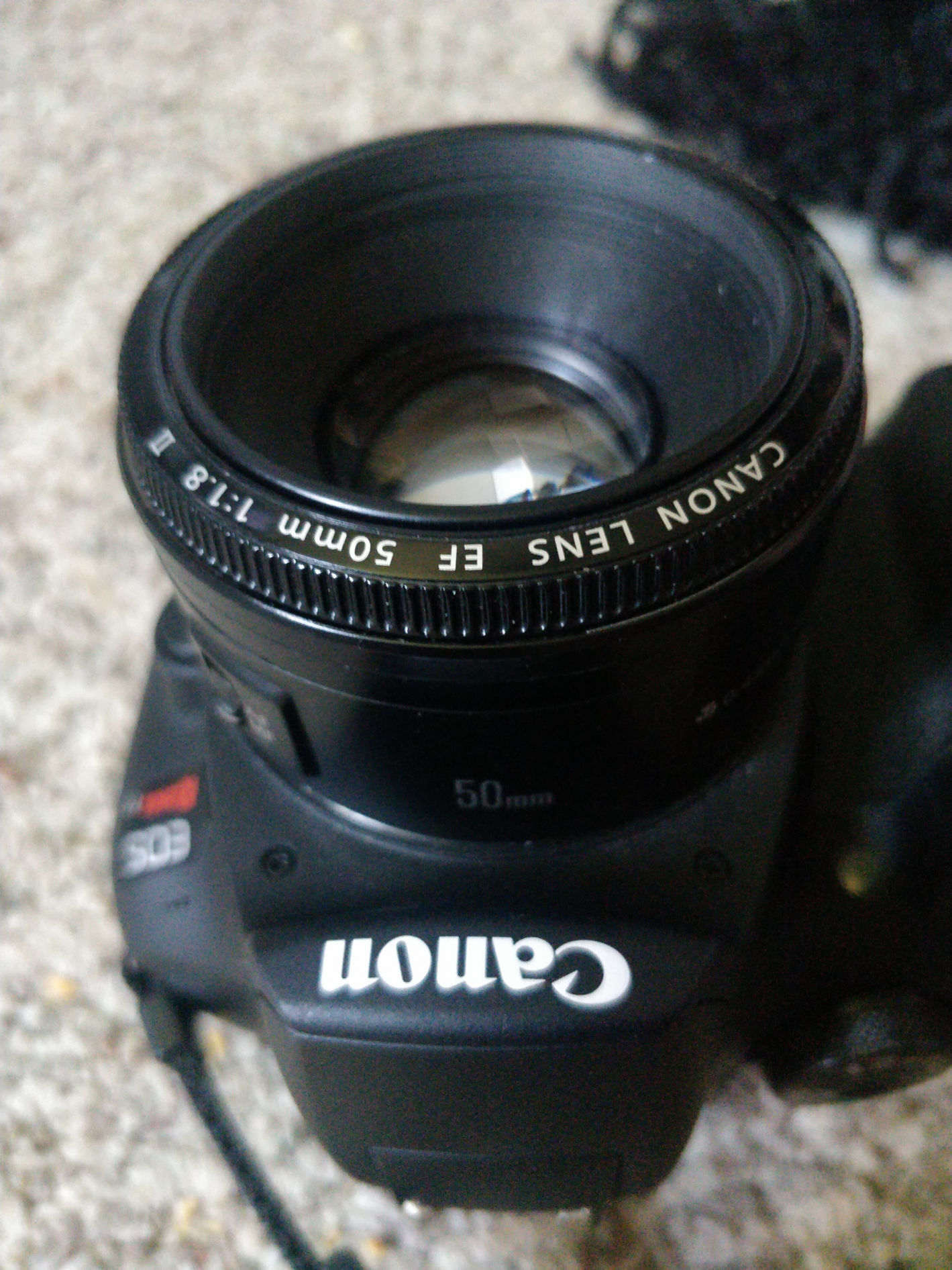 photograph of a small 50mm prime on a small dslr.