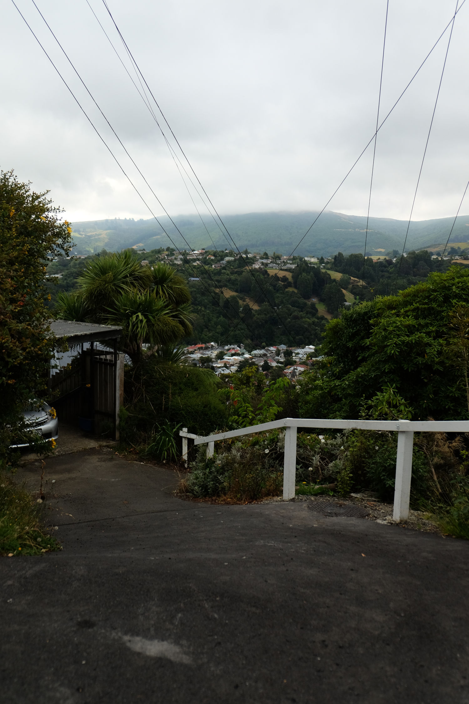 yellowed picture looking down a white fence that leads into a steep downhill forested area with criss crossing power lines in front.