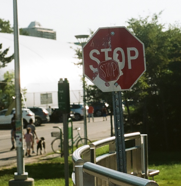 golden lit stop sign with stop sign graffiti on it