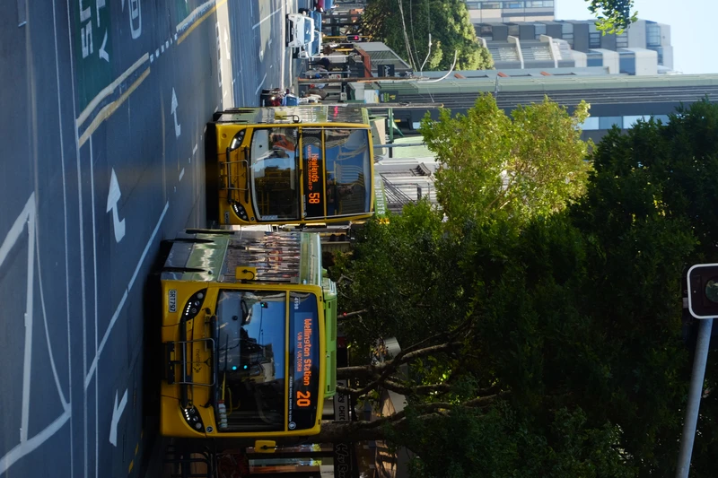 green metlink buses shining from reflected light from glass buildings in city.