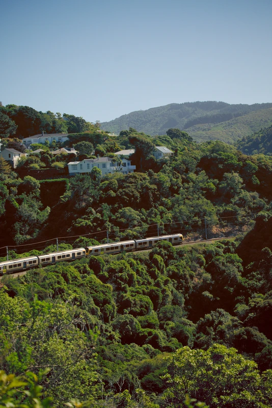 photoraph of matangi train from across a valley covered in thick foliage. the image is yellowed from sunset.