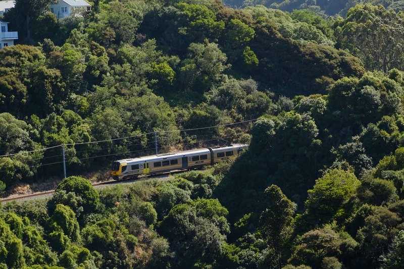 matangi train hugging a cliff while exiting a forest.